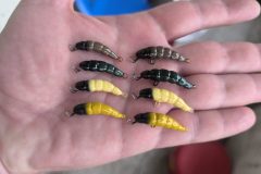 IMG_20250424_144031-scaled