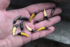 IMG_20250426_150831-scaled