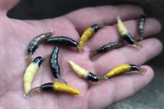 IMG_20250426_150835-scaled