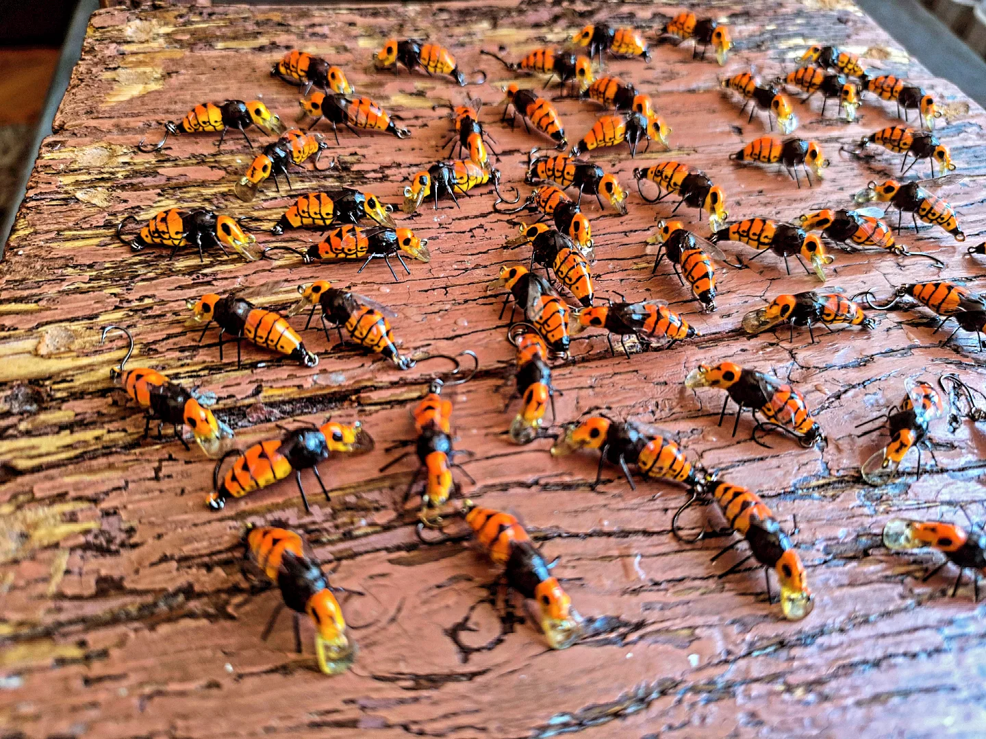 Wasp Sting - Slika 8