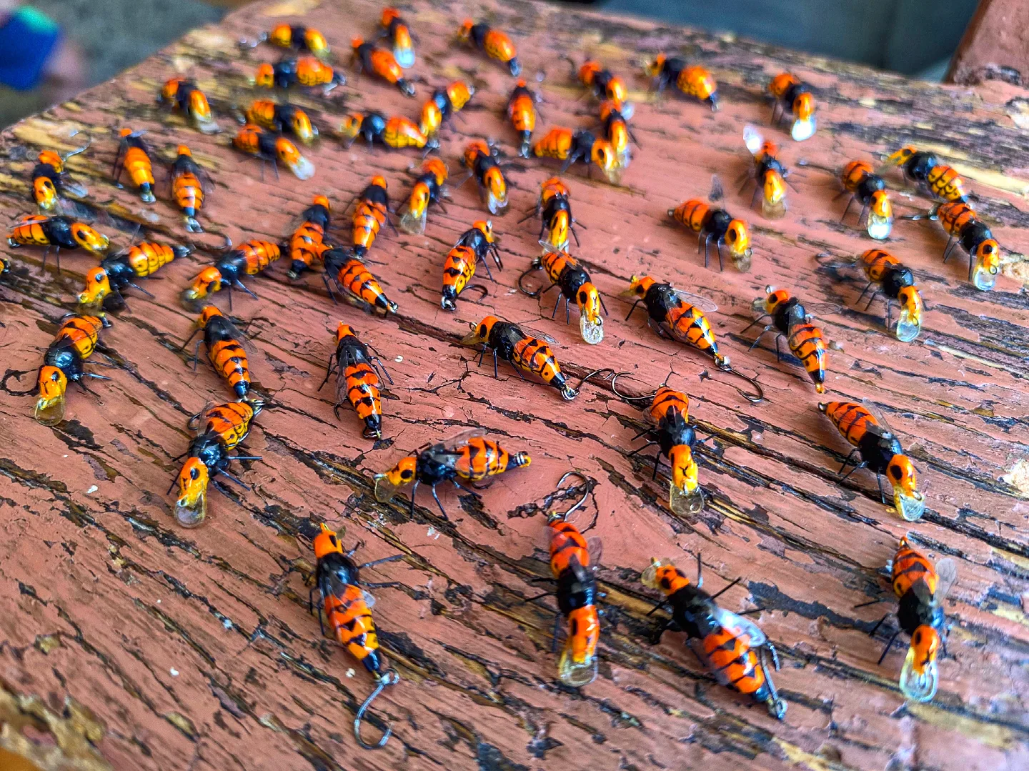 Wasp Sting - Slika 7
