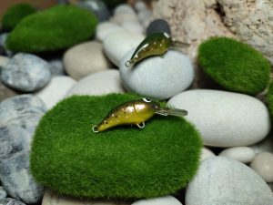 Aquila vobler veličine: kako izabrati 15, 20, 25 ili 30 mm