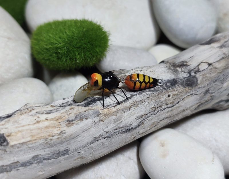 Wasp Fury