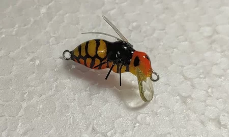 Wasp Sting