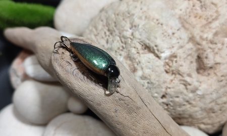 Scarabeo