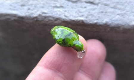 StinkBug ”GEORGE”