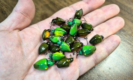 StinkBug ”GEORGE”