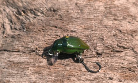 StinkBug ”GEORGE”